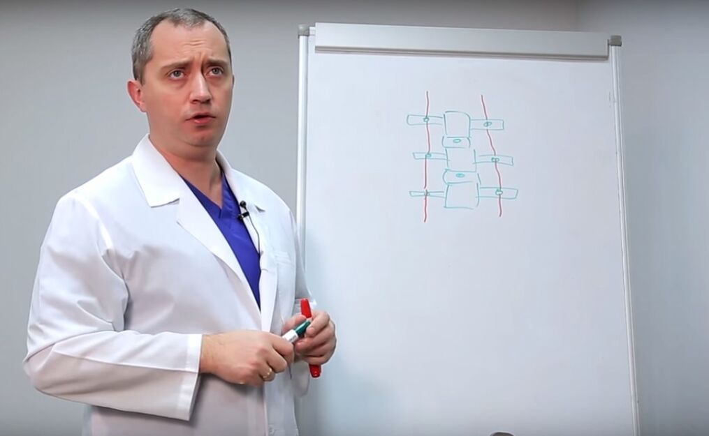 Le médecin montre la structure de la colonne vertébrale